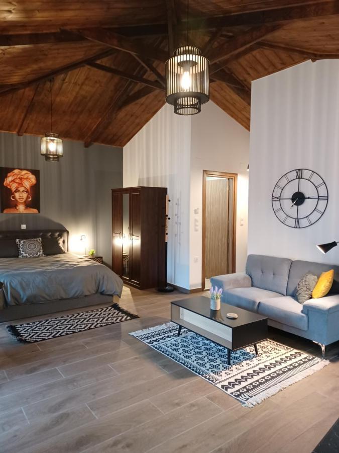 Luxury Apartment With Balcony Mytilíni Екстериор снимка
